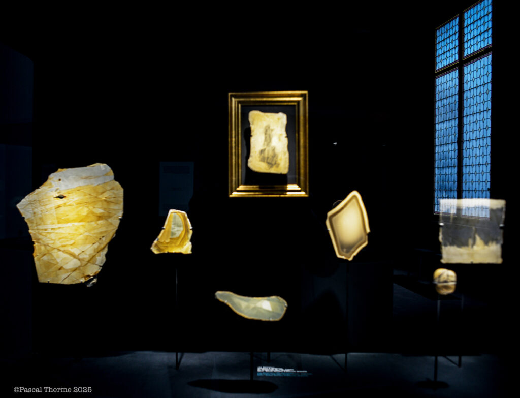 Ecole-des-Joaillliers-1024x783 PHOTO DAYS 2025 ART PHOTOGRAPHIE 