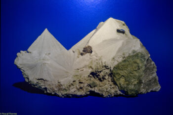 Juliette-Agnel-suceptibilite-des-roches.-05-11-2025-a-155412-2-350x234 JULIETTE AGNEL PHOTODAYS ART PHOTOGRAPHIE 