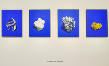 La-susceptibilite-des-pierres-350x213 La susceptibilité des pierres 