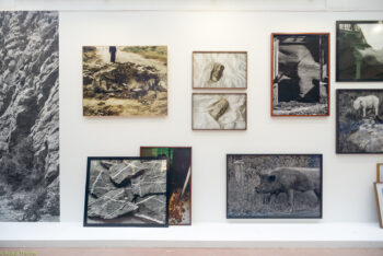 PARIS-PHOTO-2025-1-350x234 PARIS PHOTO 2025 ART PHOTOGRAPHIE 