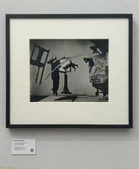 Paris-Photo-2025-20-287x350 Paris Photo 2025-20 