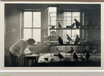 Paris-Photo-2025-25-350x255 PARIS PHOTO 2025 ART PHOTOGRAPHIE 