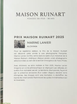 Paris-Photo-2025-50-262x350 Paris Photo 2025-50 