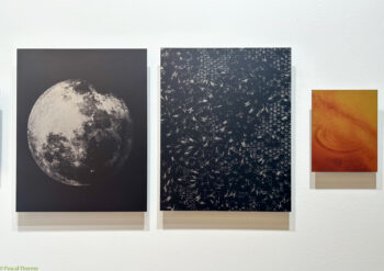 Paris-Photo-2025-52-350x247 Paris Photo 2025-52 