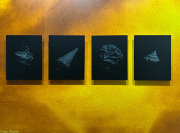 Paris-Photo-2025-54-350x259 Paris Photo 2025-54 