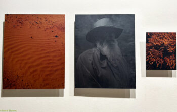 Paris-Photo-2025-55-350x222 Paris Photo 2025-55 