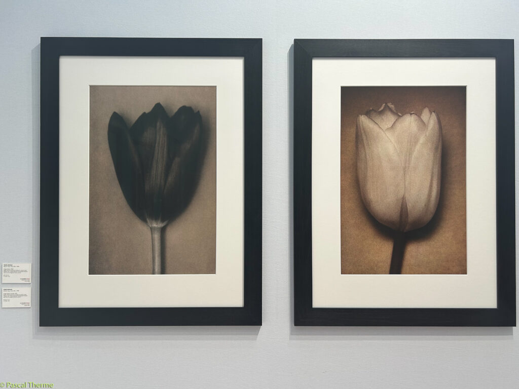 Paris-Photo-2025-7-1024x768 PARIS PHOTO 2025 ART PHOTOGRAPHIE 