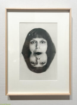 Paris-Photo-2025-N-12-259x350 PARIS PHOTO 2025 ART PHOTOGRAPHIE 