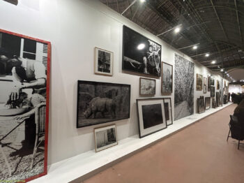 Paris-Photo-2025-S_-17-350x262 Paris Photo 2025-S_-17 