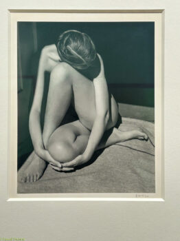 Paris-Photo-2025-S_-9-262x350 LE FAUX À L'ÉPREUVE DU VRAI. ART PHOTOGRAPHIE 