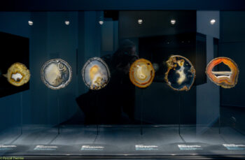 Roger-Caillois-a-Ecole-des-Arts-Joailliers-05-11-2025-a-155412-15-350x229 Roger Caillois à ’École des Arts Joailliers 05-11-2025 à 15:54:12 15 