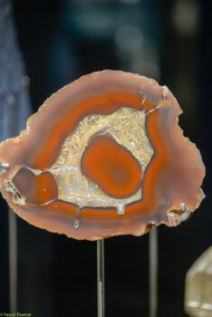 Roger-Caillois-a-Ecole-des-Arts-Joailliers-05-11-2025-a-155412-21-234x350 Roger Caillois à ’École des Arts Joailliers 05-11-2025 à 15:54:12 21 