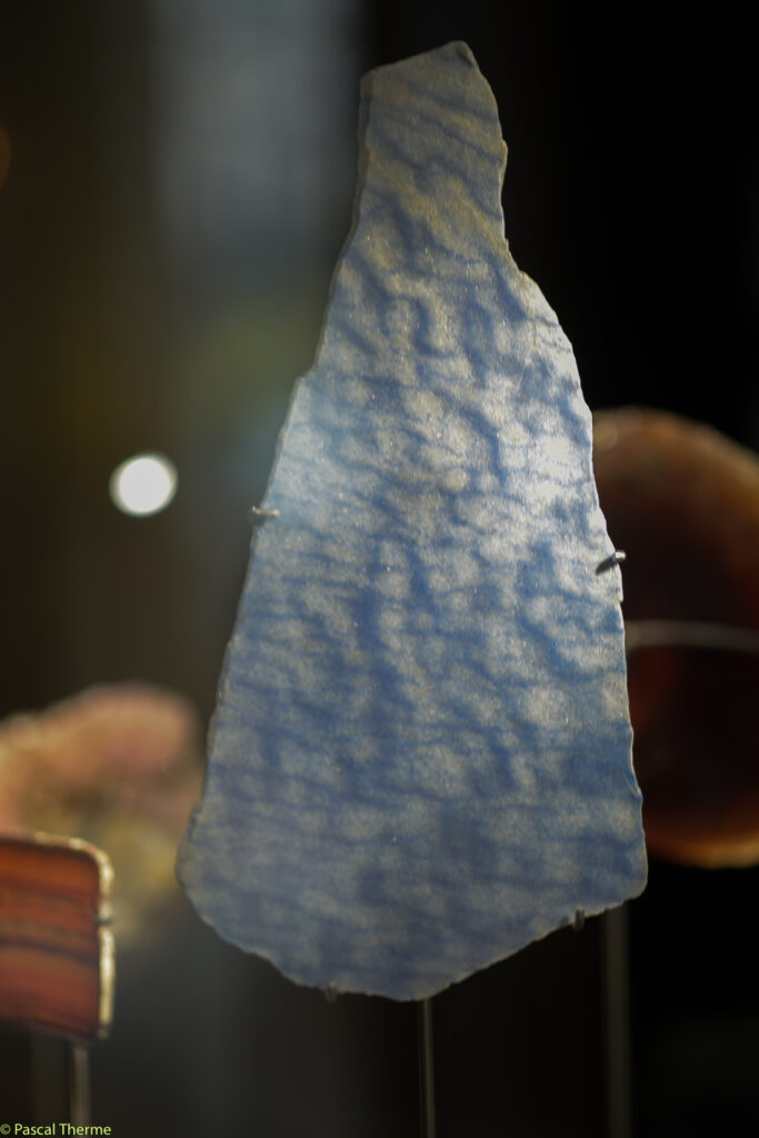 Roger-Caillois-a-Ecole-des-Arts-Joailliers-05-11-2025-a-155412-22-683x1024 ROGER CAILLOIS ART PHOTOGRAPHIE 