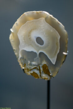 Roger-Caillois-a-Ecole-des-Arts-Joailliers-05-11-2025-a-155412-23-234x350 Roger Caillois à ’École des Arts Joailliers 05-11-2025 à 15:54:12 23 