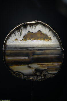 Roger-Caillois-a-Ecole-des-Arts-Joailliers-05-11-2025-a-155412-31-234x350 Roger Caillois à ’École des Arts Joailliers 05-11-2025 à 15:54:12 31 