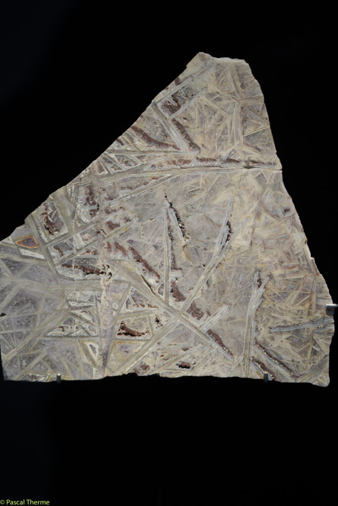 Roger-Caillois-a-Ecole-des-Arts-Joailliers-05-11-2025-a-155412-32-683x1024 PHOTO DAYS 2025 ART PHOTOGRAPHIE 