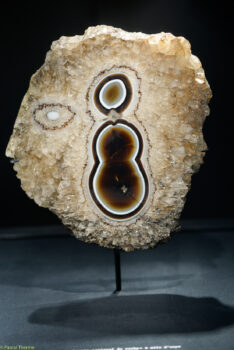 Roger-Caillois-a-Ecole-des-Arts-Joailliers-05-11-2025-a-155412-34-234x350 Roger Caillois à ’École des Arts Joailliers 4 