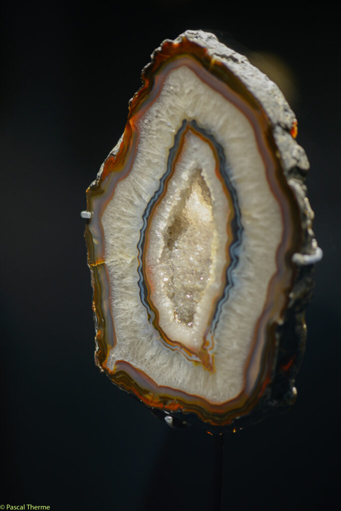 Roger-Caillois-a-Ecole-des-Arts-Joailliers-05-11-2025-a-155412-35-683x1024 PHOTO DAYS 2025 ART PHOTOGRAPHIE 