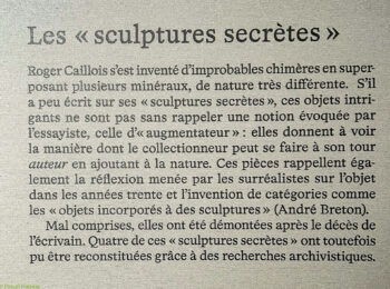 Roger-Caillois-a-Ecole-des-Arts-Joailliers.-CAILLOIS-ECOLE-DES-ARTS-JOAILLERS-15-350x260 Roger Caillois à ’École des Arts Joailliers. CAILLOIS ÉCOLE DES ARTS JOAILLERS-15 