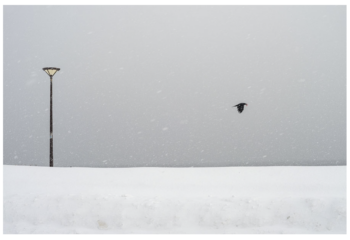 Capture-decran-2025-12-09-a-12.12.41-350x240 Capture d’écran 2025-12-09 à 12.12.41 