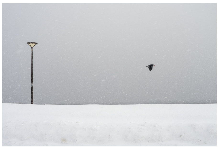 Capture-decran-2025-12-09-a-12.12.41 CATHERINE HENRIETTE. ART PHOTOGRAPHIE 