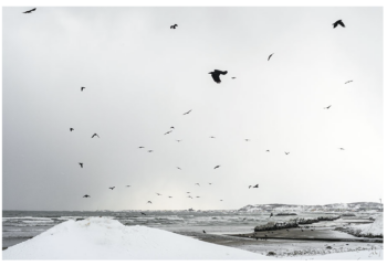 Capture-decran-2025-12-09-a-12.12.59-350x241 Capture d’écran 2025-12-09 à 12.12.59 