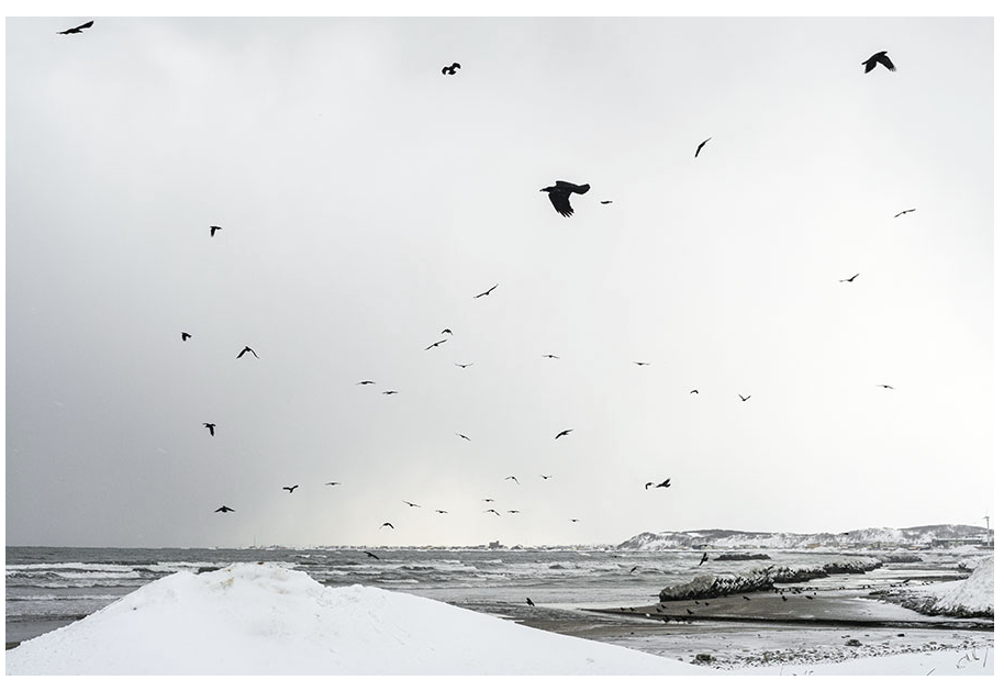 Capture-decran-2025-12-09-a-12.12.59 CATHERINE HENRIETTE. ART PHOTOGRAPHIE 