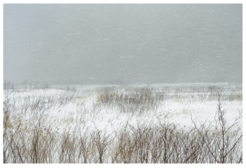 Capture-decran-2025-12-09-a-12.14.00-350x239 Capture d’écran 2025-12-09 à 12.14.00 