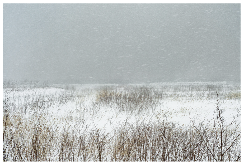 Capture-decran-2025-12-09-a-12.14.00 CATHERINE HENRIETTE. ART PHOTOGRAPHIE 