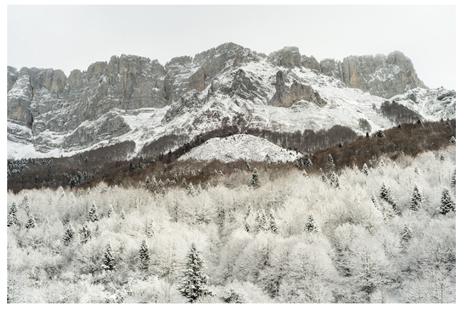 Capture-decran-2025-12-09-a-12.22.52 CATHERINE HENRIETTE. ART PHOTOGRAPHIE 