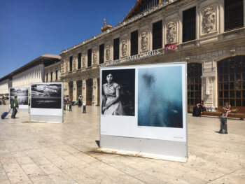 IMG_4363-350x263 IMG_4363 