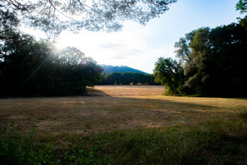 A_GAELLEMATFANFAN-VERDON-ete2025-2-350x234 A_GAELLE&MAT&FANFAN-VERDON-été2025-2 