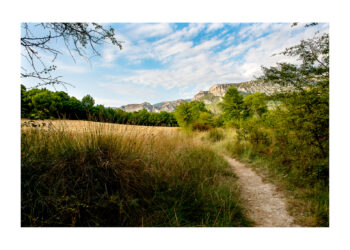 LE-CHEMIN-DE-LA-PLAGE-MOUSTIERS-16-350x250 LE CHEMIN DE LA PLAGE-MOUSTIERS-16 
