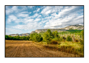 LE-CHEMIN-DE-LA-PLAGE-MOUSTIERS-19-350x250 LE CHEMIN DE LA PLAGE-MOUSTIERS-19 