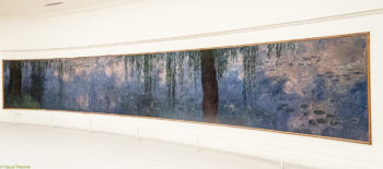 Les-Nympheas-Claude-Monet-Musee-de-lOrangerie-3-350x155 Les Nymphéas- Claude Monet- Musée de l'Orangerie-3 
