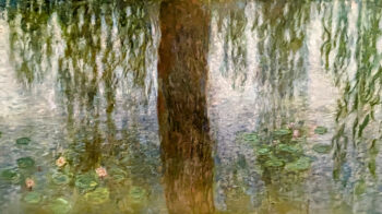 Les-Nympheas-Claude-Monet-Musee-de-lOrangerie-5-350x196 Les Nymphéas- Claude Monet- Musée de l'Orangerie-5 
